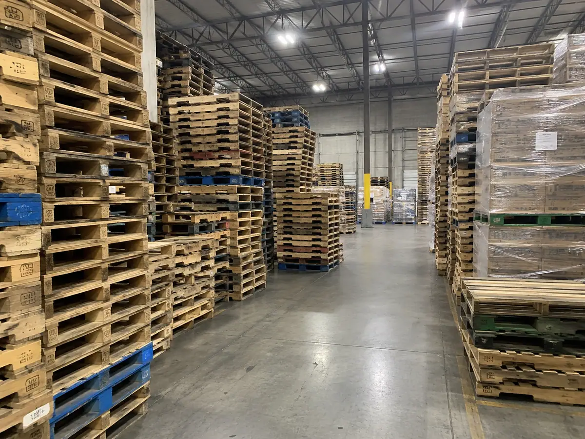 Warehouse aisle lined on both sides with tall stacks of used wood pallets on a polished concrete floor, roof lights overhead